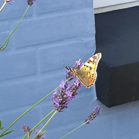 Bb Kanstrup Apartment *