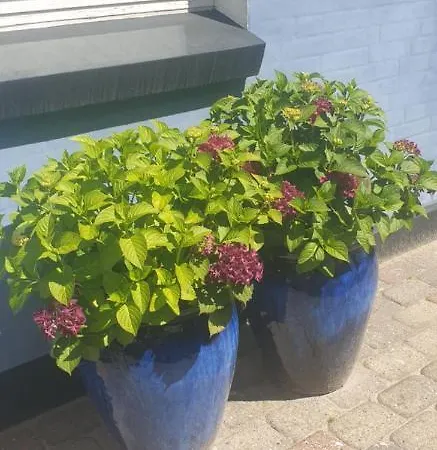 Bb Kanstrup Apartment *