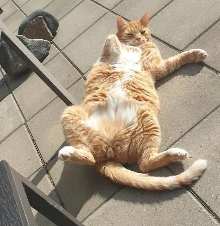 Bb Kanstrup Frederikshavn