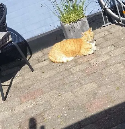 Bb Kanstrup アパート *